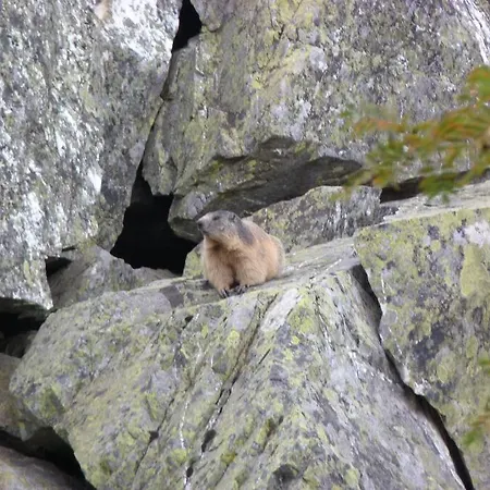 Apartman 4-6 Pers Au Pied Des Pistes - Val Louron